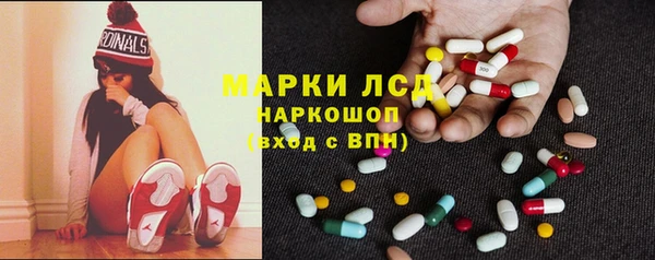 гашик Аркадак