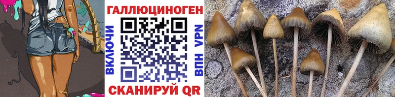 купить наркоту  Балей  Псилоцибиновые грибы мухоморы 